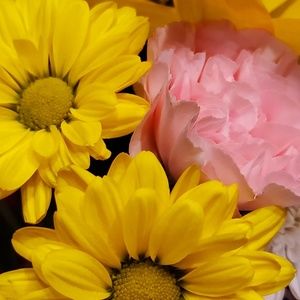 Meet your Posher, Leida